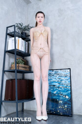 BEAUTYLEG 2387 Stephy